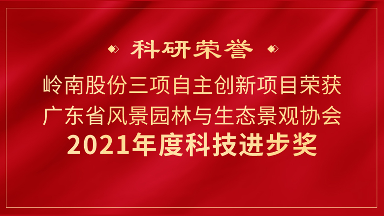 创新创效！亚投娱乐股份3项科研成果又获奖！