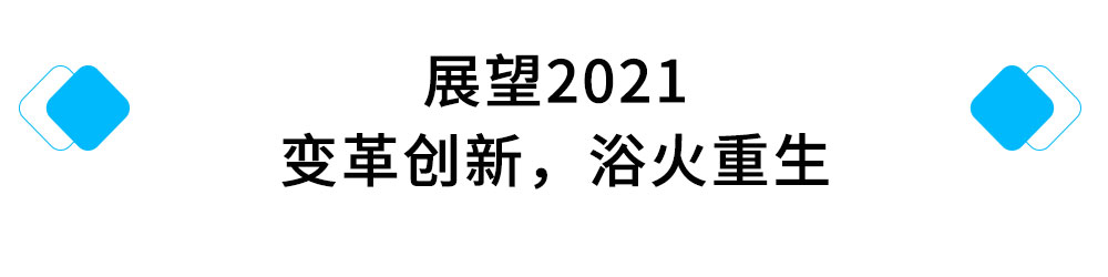 展望2021，变革创新，浴火重生.jpg